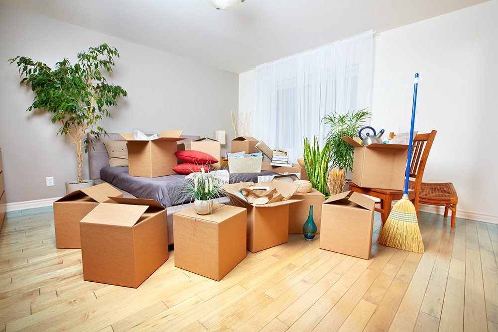 Warren Movers: Your Trusted Moving Partner in Warren, MI